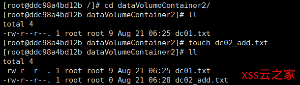 Docker系列-第五篇Docker容器数据卷