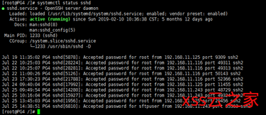 Linux 7.5 SSH服务和SFTP服务分离-xss云之家